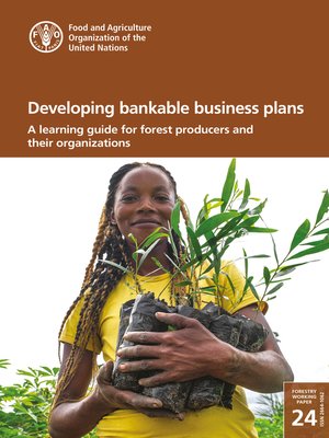 cover image of Developing Bankable Business Plans